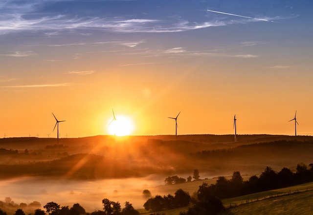 Energía Sostenible en la Agricultura: Cultivando un Planeta Saludable